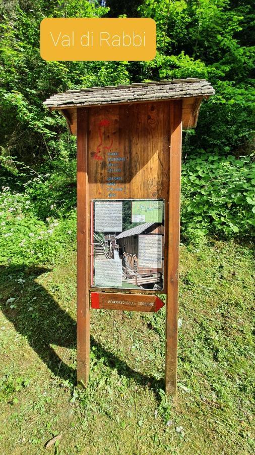 Marmot Apartment Dimaro Ngoại thất bức ảnh
