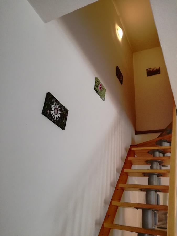 Marmot Apartment Dimaro Ngoại thất bức ảnh